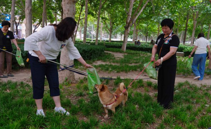 媒体：不仅罚款还要拘留，法律“拴紧”遛狗绳