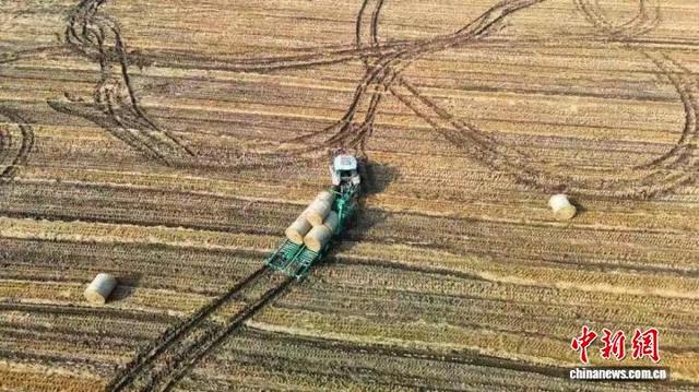 秸秆捡拾机在捡拾秸秆。蔡雨欣摄