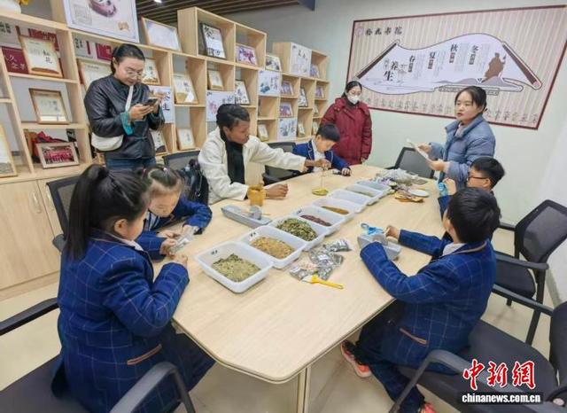 孩子们在单县园艺街道张知楼社区拾光书院内辨认中药材标本。单县县委宣传部供图