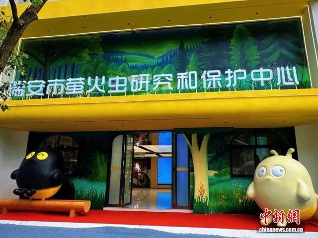 瑞安市萤火虫研究和保护中心。 周小玲 供图