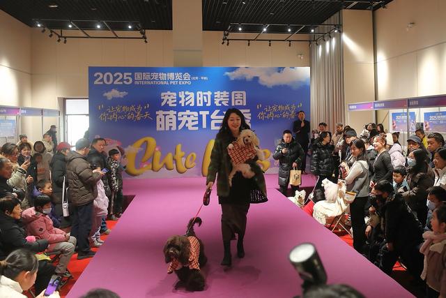 百度seo代理招募信息