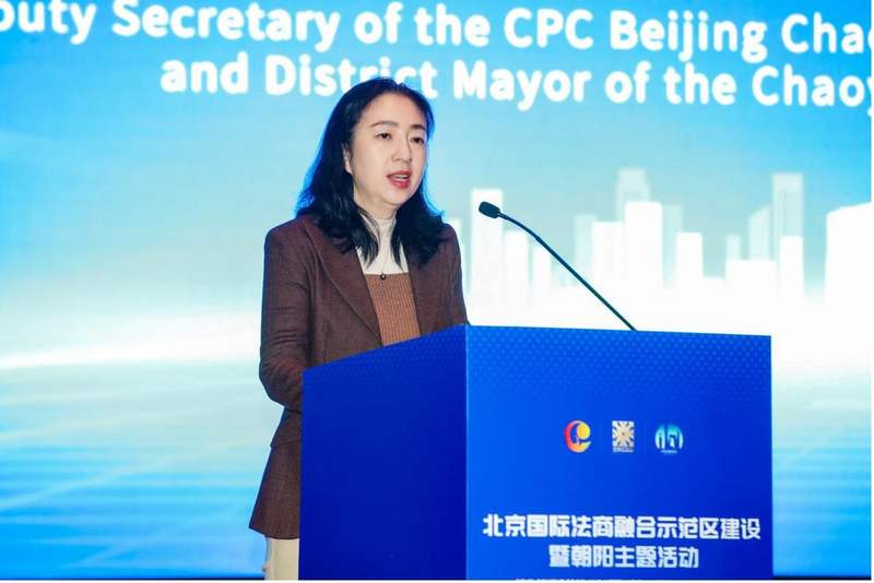 北京市朝阳区委副书记、区长聂杰英。图/主办方提供