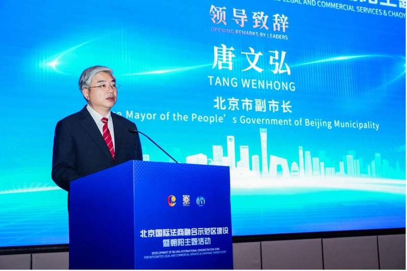 北京市人民政府副市长唐文弘。图/主办方提供