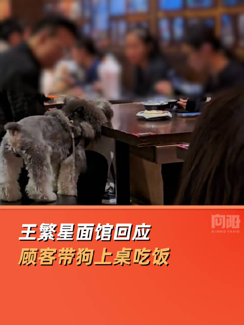 王繁星面馆回应顾客带狗上桌：已进行全面消杀|面馆_新浪新闻