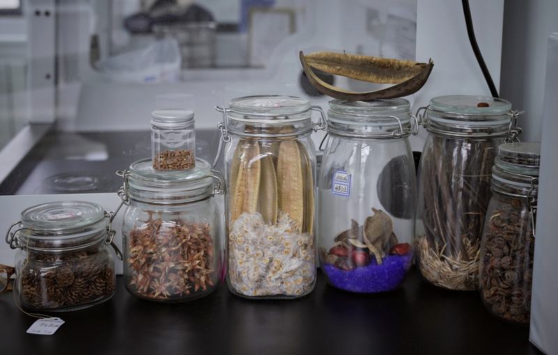 密封罐中装着各种种子。新京报记者 薛珺 摄