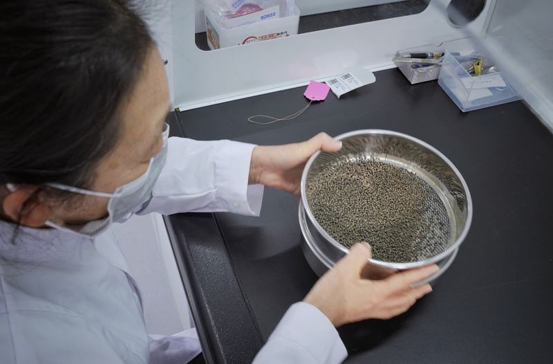 一位工作人员正在用筛网筛选种子。新京报记者 薛珺 摄