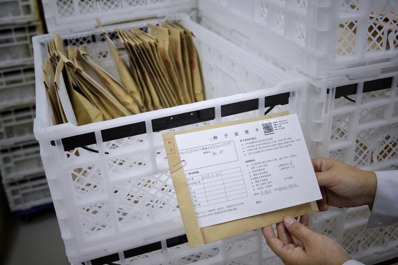 “种子处理卡”上详细记载着到来和清理情况，并贴有二维码标签纸。新京报记者 薛珺 摄