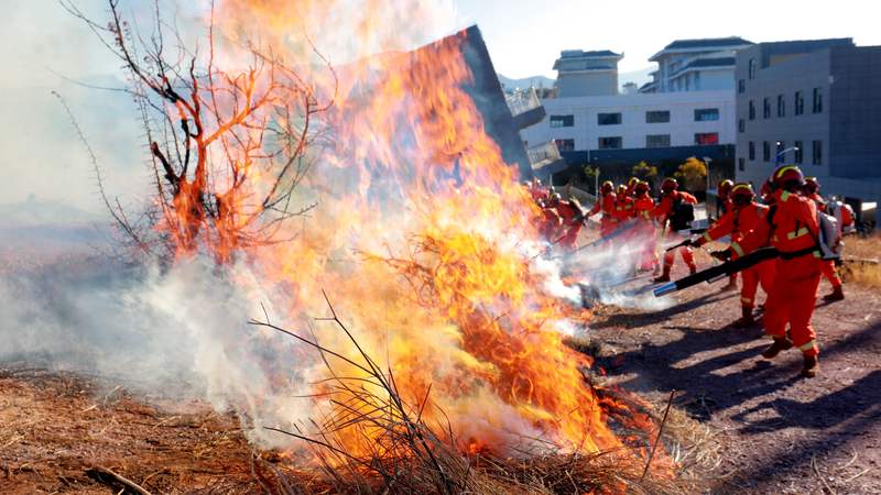 扑火队员开展班组协同灭火。 陈建功 摄