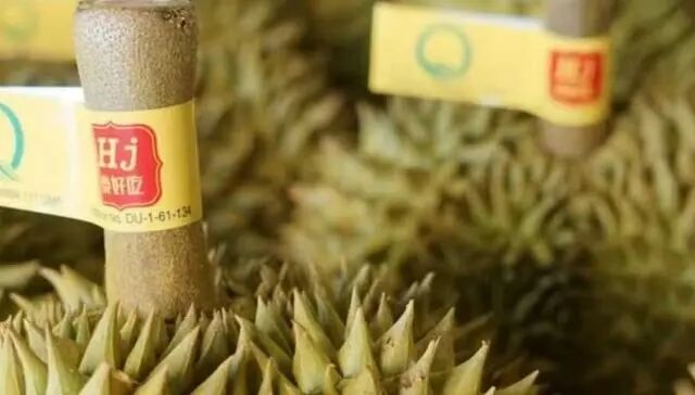 图片来源：洪九果品官网