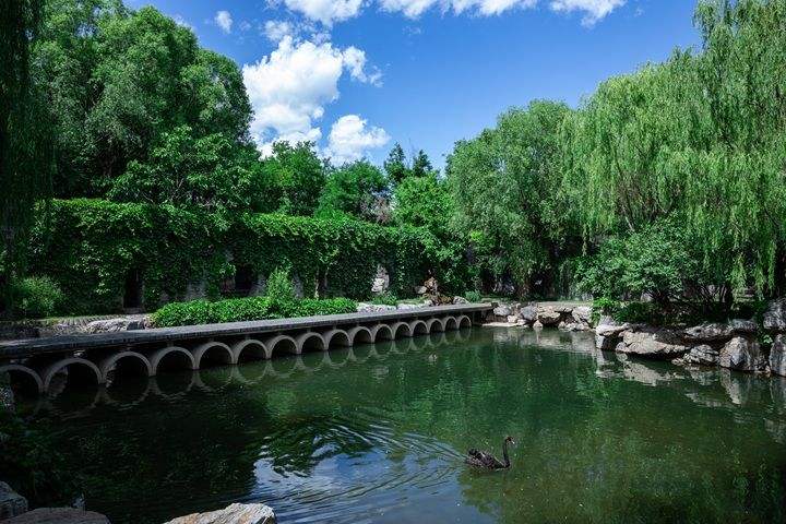 崔各庄乡持续提升生态环境，吸引市民休闲打卡。受访者供图