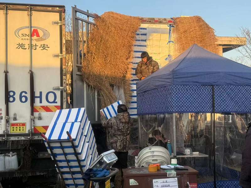 南方蔬菜装在泡沫箱里，防寒保温。新京报记者 陈琳 摄