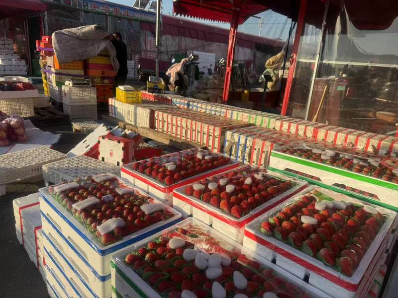 元旦前夕，草莓迎来销售旺季。新京报记者 陈琳 摄