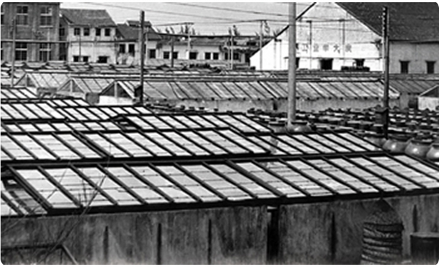 1961年海天建成第一座晒池