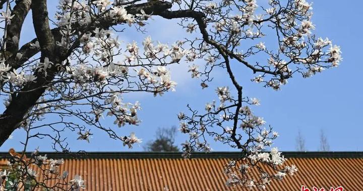 爱你“老己”，是年末最好的收尾