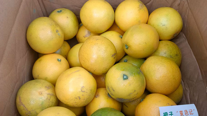 刘霞从拼多多上购买的云南红河州的橙子，包邮到昌都。消费者供图