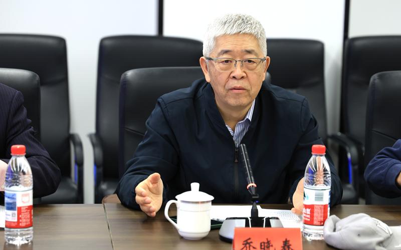 国际健康寿命研究组织核心组成员、北京大学人口所教授乔晓春在研讨会上发言。摄/新京报记者 王远征