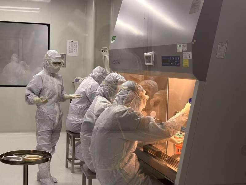 康霖生物的工作人员对造血干细胞进行相关操作处理。