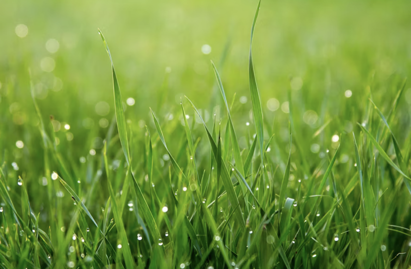 ©️深响原创 · 