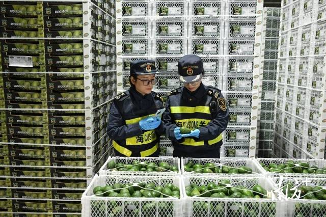 快手短视频:携程任我游卡-2025年最后一场国常会，为何部署这项重要议题？