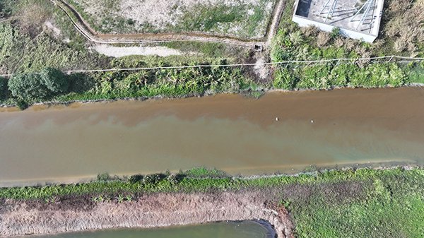 东莞一企业疑偷排污水被举报：环保部门检查后，企业连夜封堵下水管口