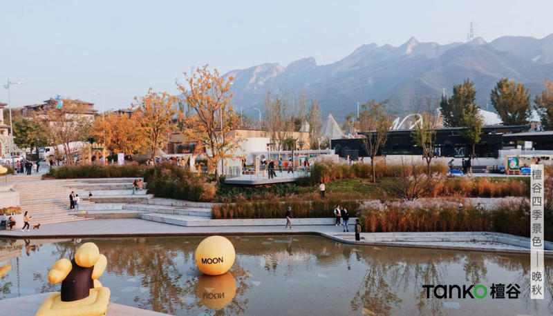 檀谷街区秋景实拍图