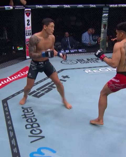 回顾惊艳秒杀:一记左平勾打懵,刘周尚开局极速KO赛拉格|UFC|MMA_新浪体育_新浪新闻