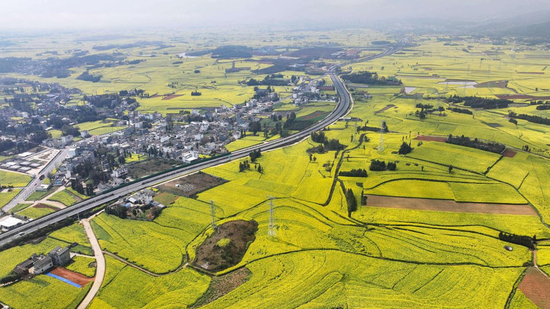 图片来源：云南省文化和旅游厅
