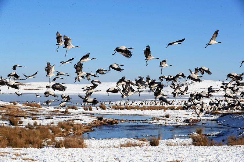 图片来源：云南省文化和旅游厅