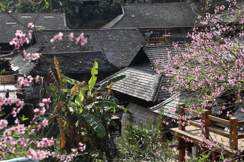 图片来源：云南省文化和旅游厅