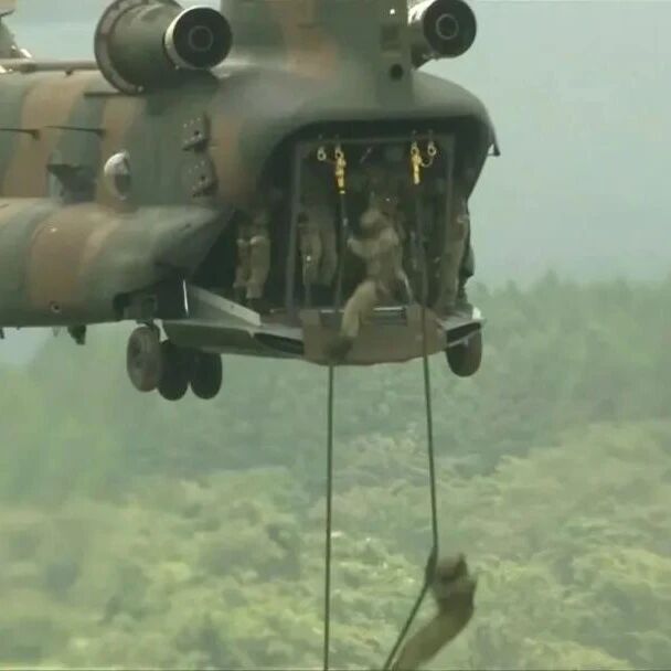 高市被批：将日本引向“战争国家”