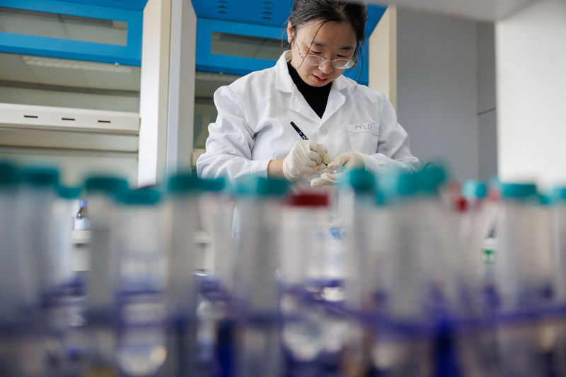 孙婧在一排试管前做记录。新京报记者 王子诚 摄