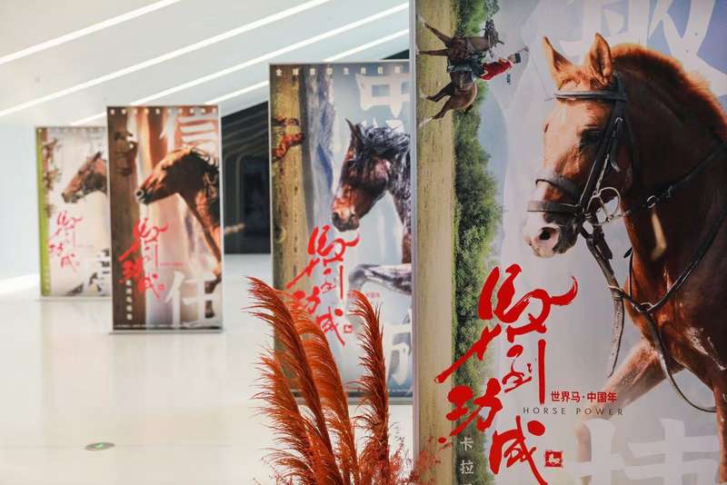 首映礼现场布置。