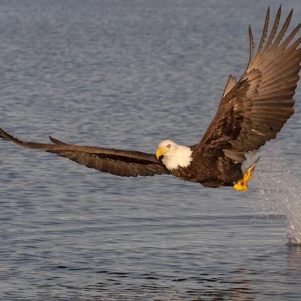 利好来了！上海，重磅发布！