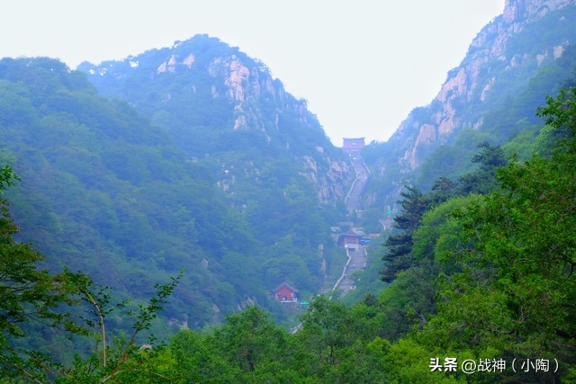 泰山登顶全攻略:从红门到玉皇顶的深度体验指南|天门市|中天门|南天门|登山|山顶_新浪新闻