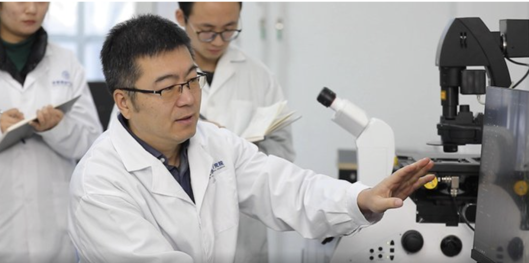 孙先达指导学生做激光扫描共聚焦页岩油组分可视化实验