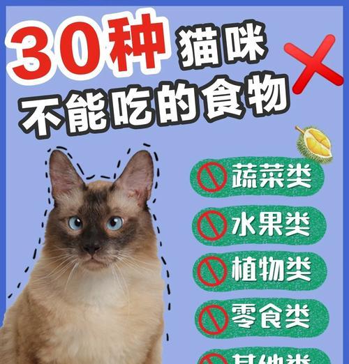 猫咪的饮食禁忌及安全食物指南(了解猫咪的饮食禁忌,让您的宠物健康成长)_村客网|大蒜|可爱小猫|关键字|猫粮|鸡骨头_新浪新闻