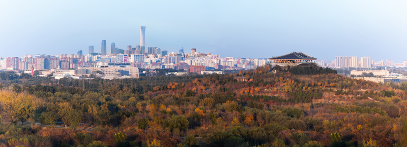南苑森林湿地公园。