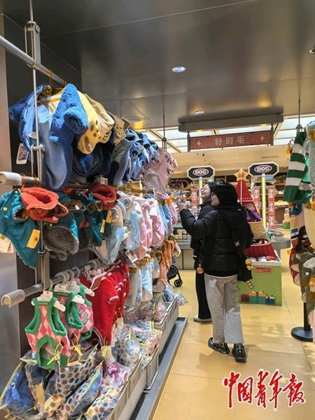 宠物用品店内，宠物主正在给自己的“毛孩子”选购商品。中青报·中青网记者 李瑞璇/摄