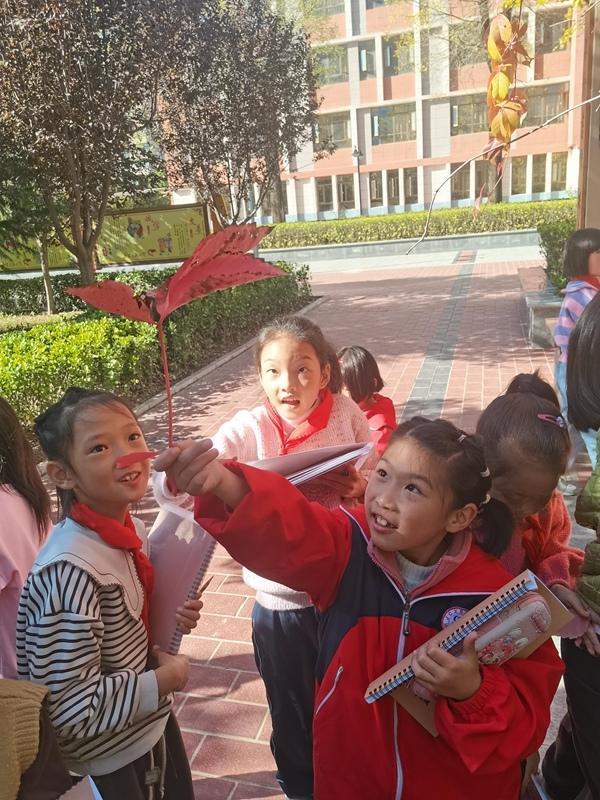 晨诵课学了一首写枫叶的小诗，泾川县第三小学的同学们下课后观察起了枫叶。受访者供图