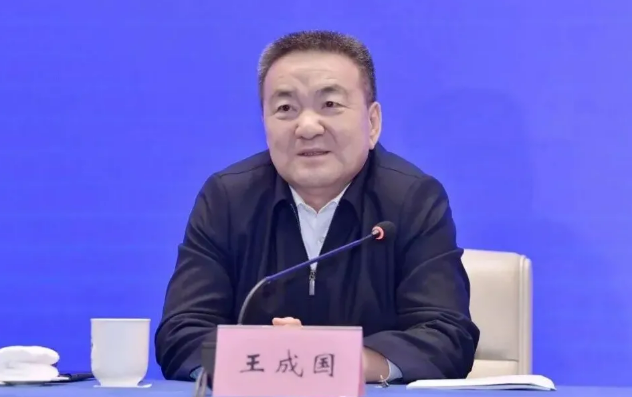 王成国（资料图）