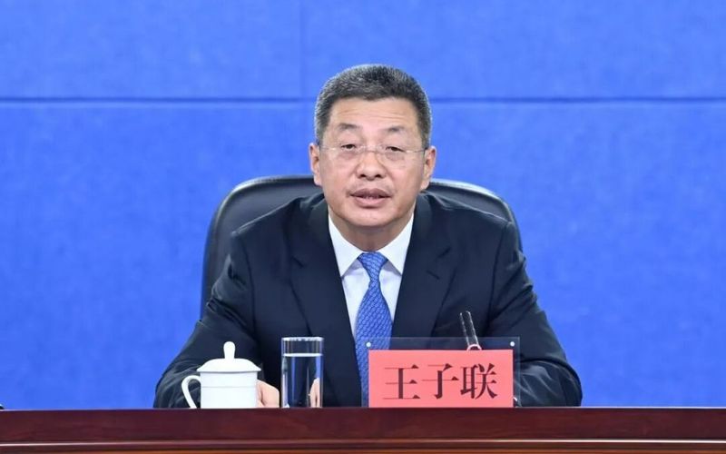 王子联（资料图）