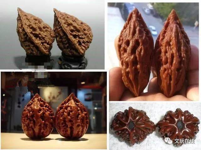 最新文玩核桃品种大全!照着图比对,再也不会买错!|狮子头|白狮子|官帽