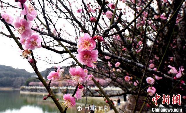 今年大寒,为啥比“腊八”来得早?|腊八_新浪财经_新浪网