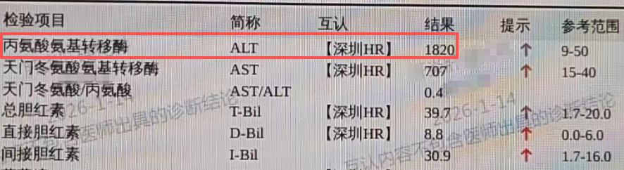 seo标签图片大全
