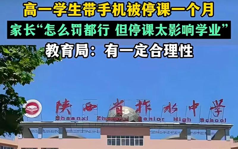 ▲陕西柞水一高中生带手机被停课一个月，引发关注。图/大风新闻视频号