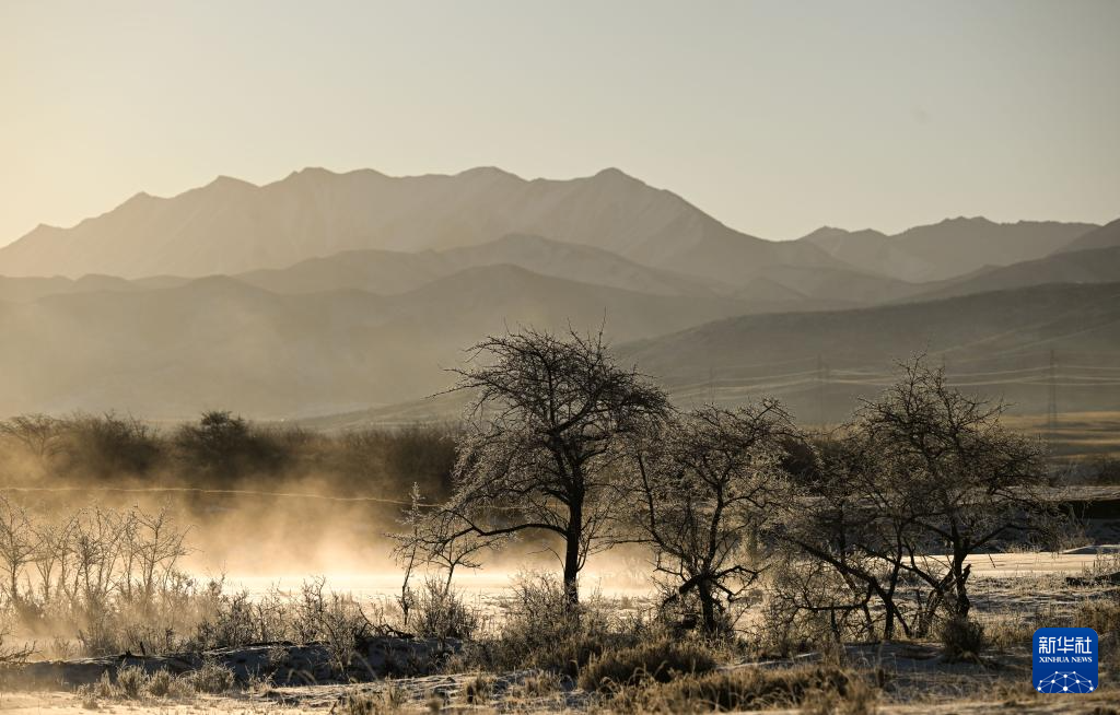 这是1月10日在青海省海北藏族自治州祁连县拍摄的雾凇景观。新华社记者 张龙 摄