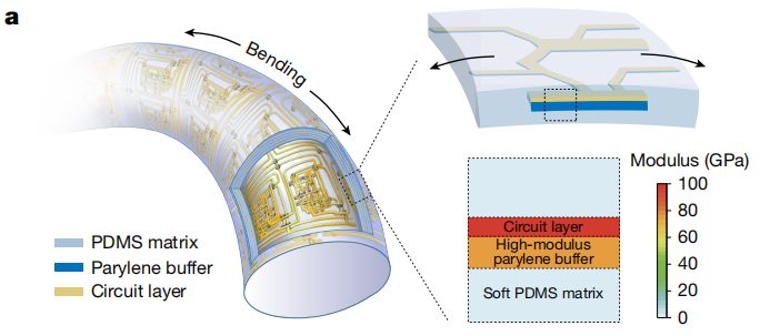 （来源：https://www.nature.com/articles/s41586-025-09974-0）