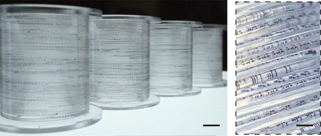 成卷“纤维芯片”和局部细节。受访团队供图