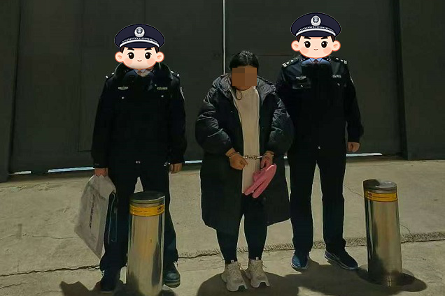 一女子冒充陕西省领导，以办理公务员入职为名诈骗424万余元被抓|陕西省_新浪财经_新浪网