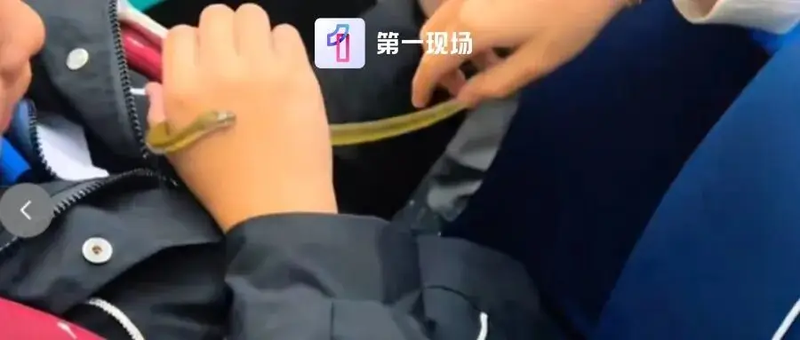 ▲媒体报道称有乘客疑似在地铁内玩蛇。图/深圳广电第一现场